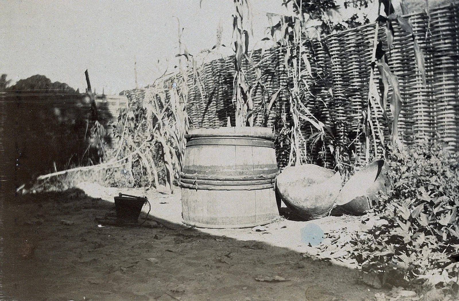 Black-and-white photograph of a wooden barrel adapted as a well beside woven fencing and household vessels.