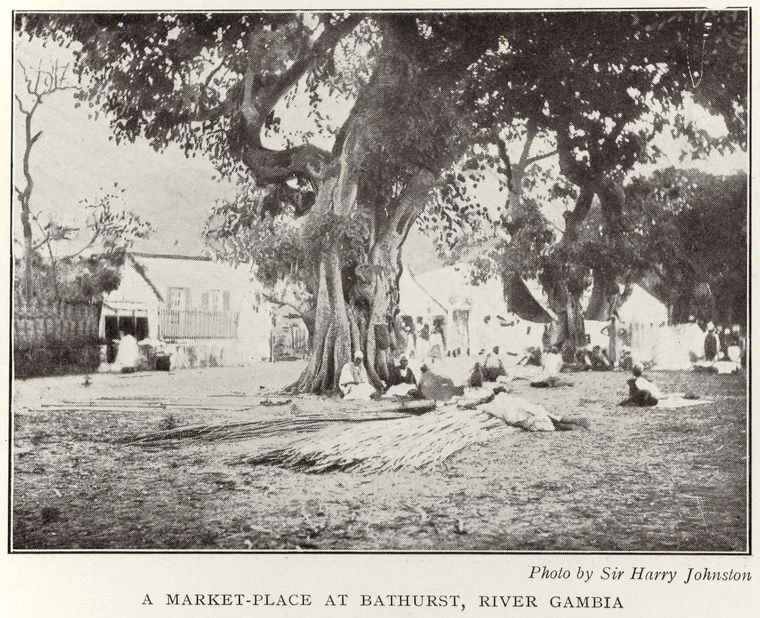 Black-and-white photograph of people and goods gathered beneath large trees in a Bathurst marketplace.